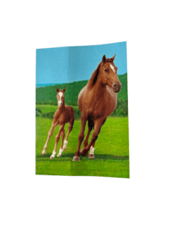 Fleece Plaidmed Heste