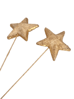 Stjerner