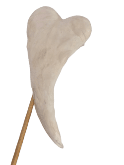 Hjerte