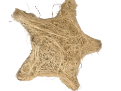 Stjerne