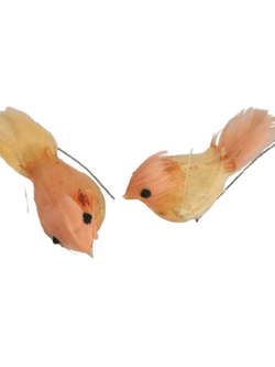 Fugl