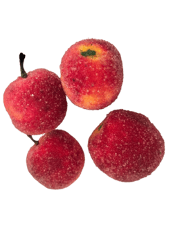 Æble
