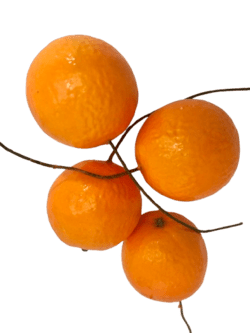 Appelsin på tråd