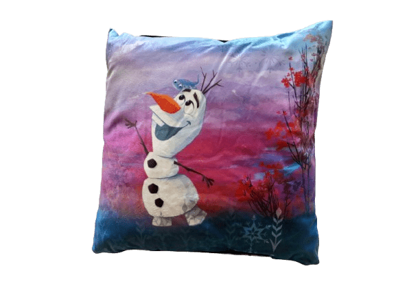 DISNEY ICE MAGIC PUDE