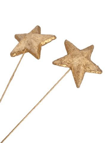 Stjerner