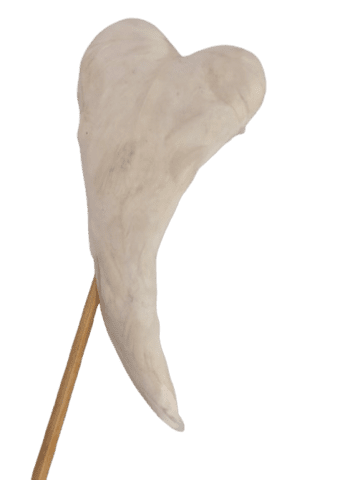 Hjerte
