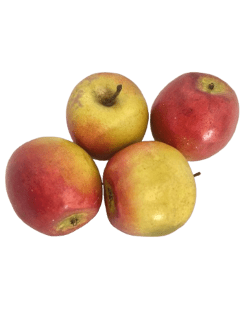 Æble
