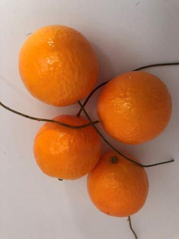 Appelsin på tråd