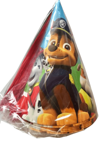 Paw Patrol Hat