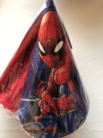 Spider-Man Hat